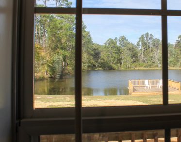 Nice View From the Cabin